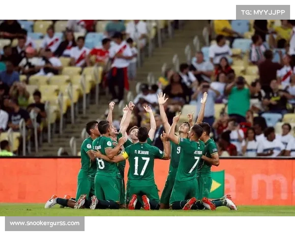 秘鲁政府承诺为解放者杯决赛提供一切必要保障